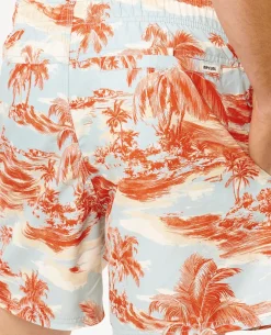 Dreamers Volley Boardshort