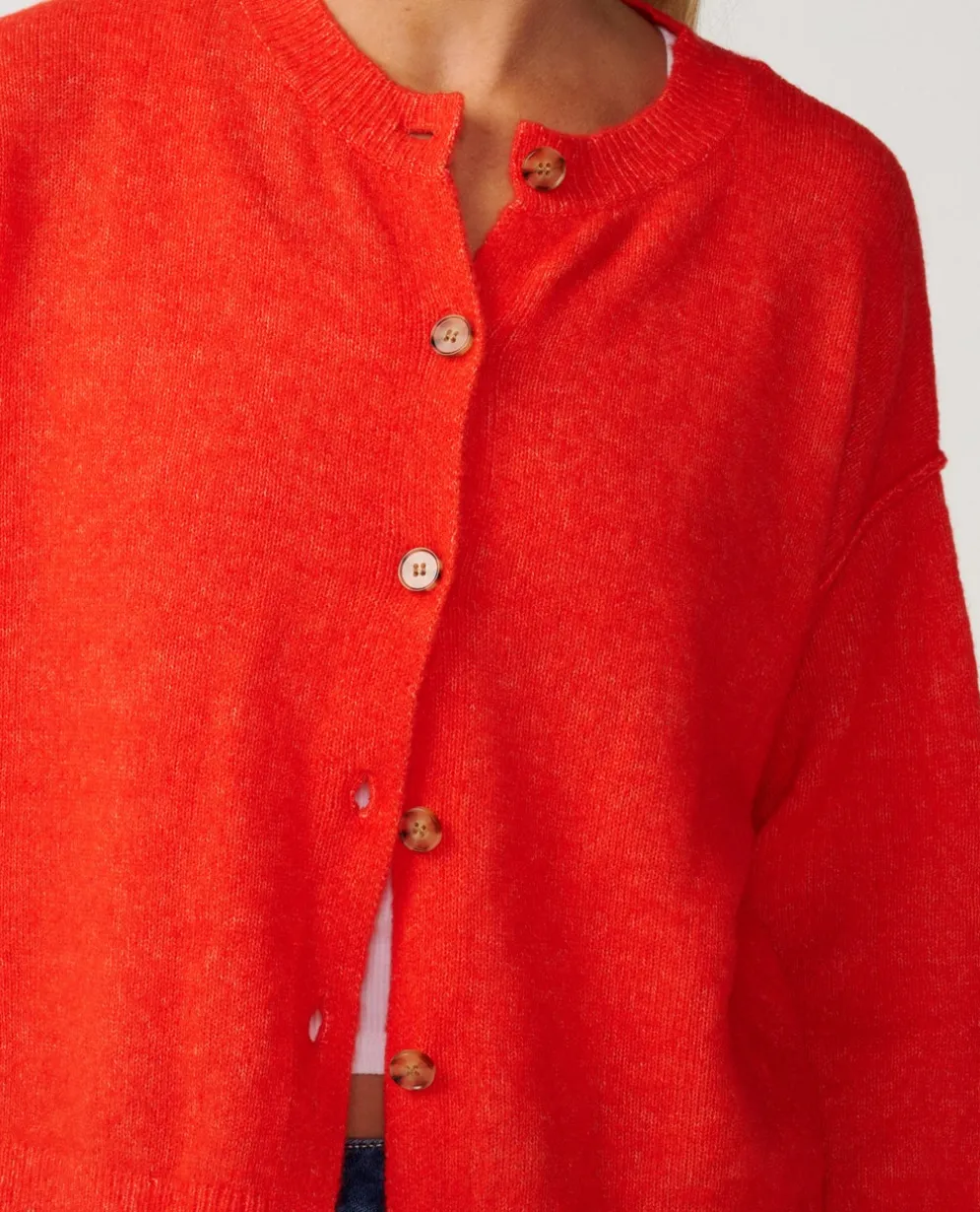 Emily Cardi
