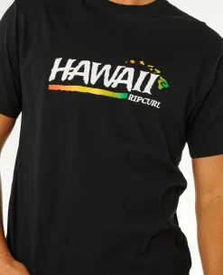 Hawaii Gritty Relaxed Tee