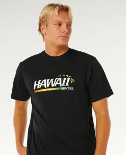 Hawaii Gritty Relaxed Tee