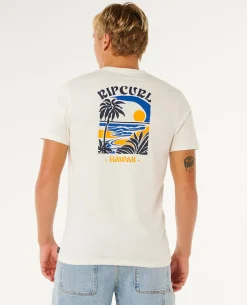 Matisse Short Sleeve Desto Standard Tee
