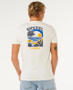 Matisse Short Sleeve Desto Standard Tee