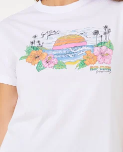 Sun Rays Cropped Tee